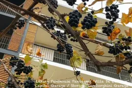Продается квартира, 2 Kомнатная, Новостройка, Тбилиси, Сванетис убани