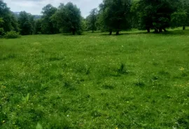 Land For Sale, Agricultural, Tsikhisjvari 
