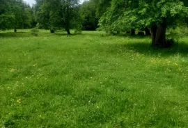 Land For Sale, Agricultural, Tsikhisjvari 