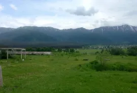 Land For Sale, Agricultural, Tsikhisjvari 