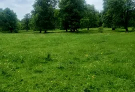 Land For Sale, Agricultural, Tsikhisjvari 