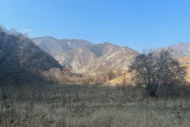 იყიდება მიწის ნაკვეთი, სასოფლო - სამეურნეო, ბობნევი
