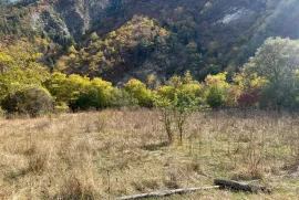 Land For Sale, Agricultural, Bobnevi