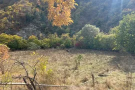 Land For Sale, Agricultural, Bobnevi