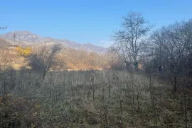 Land For Sale, Agricultural, Bobnevi