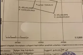 იყიდება მიწის ნაკვეთი, არა სასოფლო - სამეურნეო, ნატახტარი
