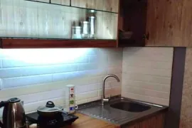 Apartment for sale, 2 Room, New building, Borjomi , Bakuriani