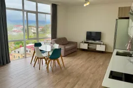 Daily Apartment Rent, 1 Room, New building, Kobuleti , Kobuleti
