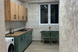 Аренда, 4 Kомнатная, Новостройка, Тбилиси, Ивертубани