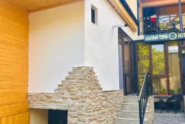 Daily Rent, Hotel, Borjomi