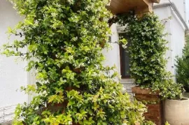 House For Rent, 8 Room, Tbilisi, Ortachala