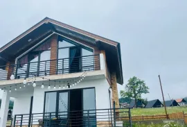 ქირავდება სახლი დღიურად, 4 ოთახიანი, ბორჯომი, ბაკურიანი