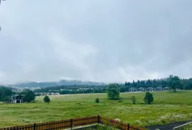 ქირავდება სახლი დღიურად, 4 ოთახიანი, ბორჯომი, ბაკურიანი