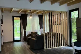 ქირავდება სახლი დღიურად, 4 ოთახიანი, ბორჯომი, სადგერი