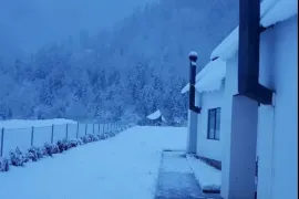 ქირავდება სახლი დღიურად, 3 ოთახიანი, ბორჯომი, სადგერი
