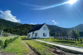 ქირავდება სახლი დღიურად, 3 ოთახიანი, ბორჯომი, სადგერი