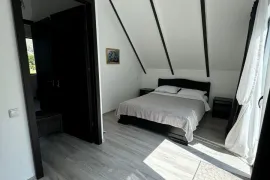 ქირავდება სახლი დღიურად, 3 ოთახიანი, ბორჯომი, სადგერი