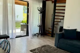 ქირავდება სახლი დღიურად, 3 ოთახიანი, ბორჯომი, სადგერი