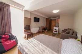 Продается квартира, 1 Kомнатная, Новостройка, Боржомский район, Бакуриани