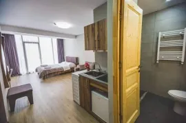 Продается квартира, 1 Kомнатная, Новостройка, Боржомский район, Бакуриани