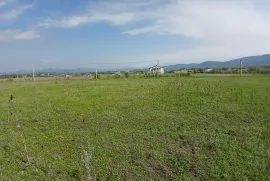 Land For Sale, Agricultural, Bazaleti 