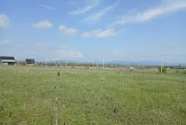 Land For Sale, Agricultural, Bazaleti 