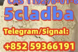 ქირავდება ბინა, 2 ოთახიანი, ახალი აშენებული, ახალქალაქი