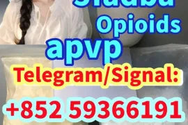 ქირავდება ბინა დღიურად, 1 ოთახიანი, მშენებარე, ახალქალაქი