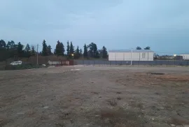 Аренда, Универсальное коммерческое помещение, Гвара