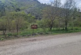 იყიდება მიწის ნაკვეთი, აბასთუმანი 