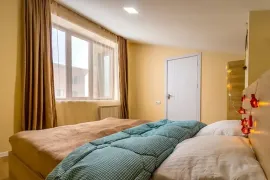 Apartment for sale, 5 Room, New building, Borjomi , Bakuriani