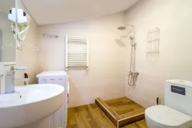 Apartment for sale, 5 Room, New building, Borjomi , Bakuriani