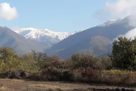 Land For Sale, Non Agricultural, Kvareli