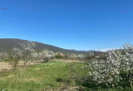 Land For Sale, Agricultural, Navazi