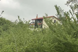 Land For Sale, For Investment, Saguramo
