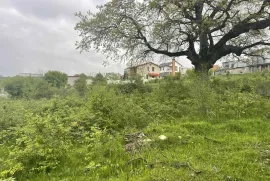 Land For Sale, For Investment, Saguramo