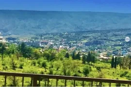 იყიდება ბინა, 2 ოთახიანი, ახალი აშენებული, თბილისი, სვანეთის უბანი