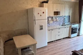 Apartment for sale, 2 Room, Old building, Gardabani  , Vaziani 