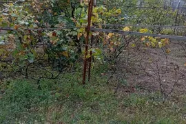 Продается Земля, Не Сельскохозяйственный, Poladaantkari
