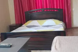 Продается квартира, 1 Kомнатная, Старое здание, Рустави