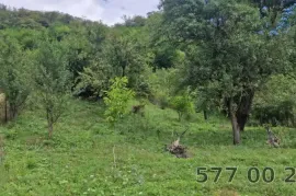 Land For Sale, Agricultural, Gombori