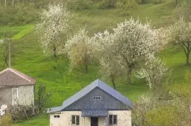 იყიდება მიწის ნაკვეთი, სასოფლო - სამეურნეო, გომბორი