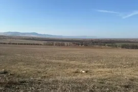 იყიდება მიწის ნაკვეთი, სასოფლო - სამეურნეო, ბოდბისხევი