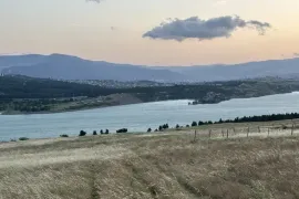 Продается Земля, Коммерческий, Тбилисское море
