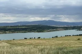 Продается Земля, Коммерческий, Тбилисское море