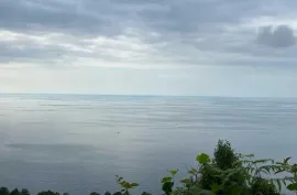 Продается Земля, Сельскохозяйственные