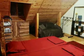 For Rent, 1 Room, Old building, Tbilisi, Chugureti