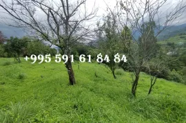 იყიდება მიწის ნაკვეთი, არა სასოფლო - სამეურნეო, გორგაძეები