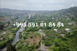 იყიდება მიწის ნაკვეთი, არა სასოფლო - სამეურნეო, გორგაძეები