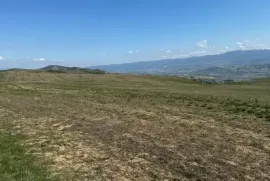 იყიდება მიწის ნაკვეთი, სასოფლო - სამეურნეო, კასპი